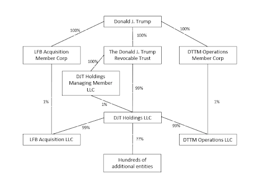 Diagram created by CPA in Houston to demonstrate tax structure